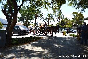 429- Mijas